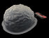 KINREX Halloween Brain Gelatin Mold, Plastic Jello Molds for Baking Decorations