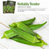 Packet 3 Pack Survival Garden Seeds - Emerald Okra Seed for Planting - with Instructions to Plant and Grow Tender