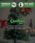 Shortie's Candle Company Christmas Tree Wax Melts Multi Pack - 2 Highly Scented 3 Oz. Bars (6 Oz. Total)