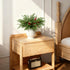 Watayo 60 14" Pcs Christmas Norfolk Pine Branches with Red Berry Stems, Artificial Greenery Norfolk Pine Stems Sprigs