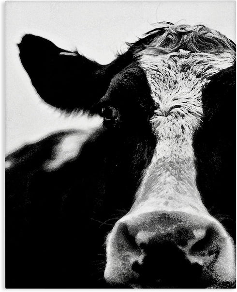 Cow Face Portrait Canvas Wall Art, 16 x 20, Designed By Lettered and Lined - Stupell Industries
