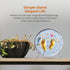 TR-LIFE 6 Inch Plate Holder Display Stand, 2 Pack Metal Easel for Picture Frames, Decorative Plates