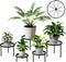 viewcare Black Plant Stands for Indoor, 5-Pack Metal Plant Stand, Heavy Duty