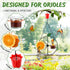 Dunkive Halves(Black,1 Pack) Baltimore Oriole Bird Feeder for Outdoors Oriole Feeder with Ant Moat & Glass Bowl & Ant