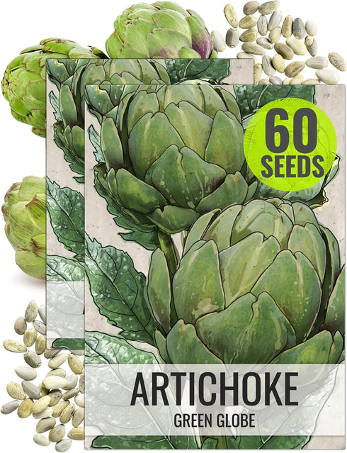Seed Needs Artichoke Seeds for Planting Green Globe Artichokes - Non-GMO Heirloom