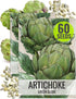 Seed Needs Artichoke Seeds for Planting Green Globe Artichokes - Non-GMO Heirloom