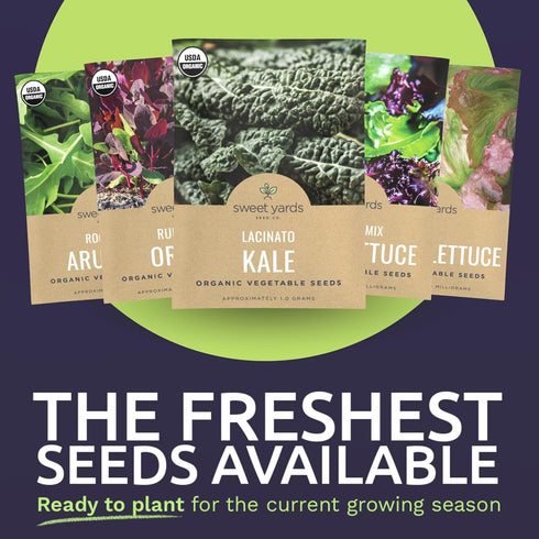 Pack 25 Packs 2026 Organic Lettuce & Greens Seed Variety - Individual - Season - Lacinato Kale, Roquette Arugula, Red