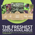 Pack 25 Packs 2026 Organic Lettuce & Greens Seed Variety - Individual - Season - Lacinato Kale, Roquette Arugula, Red