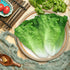 2 Lorigun Artificial Lettuce, Fake Vegetable, Artificial Vegetables for Decoration, Home Kitchen Decor, PU Vegetable