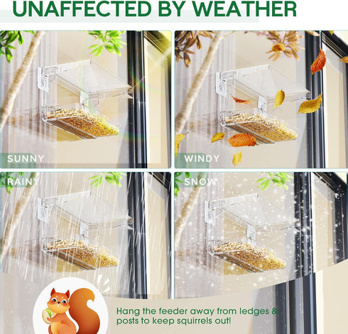 Window Bird Feeder for Outdoors - Clear Mounted Feeders with Self-Adhesive Hooks for Wild Bird Watching