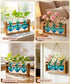 3 Bulb Nacome Plant Terrarium Propagation Stations: Mothers Day Gifts for Mom Plant Lovers Women Wife Daughter - Glass