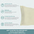 Spasilk Pure Silk Pillowcase, Charmeuse Silk, Hypoallergenic, Queen Sized, Ivory