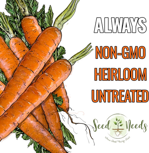 (5 Packs) Seed Needs Carrot Seeds for Planting Tendersweet Carrots - Non-GMO Heirloom & Untreated Vegetable Seed