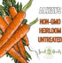 (5 Packs) Seed Needs Carrot Seeds for Planting Tendersweet Carrots - Non-GMO Heirloom & Untreated Vegetable Seed