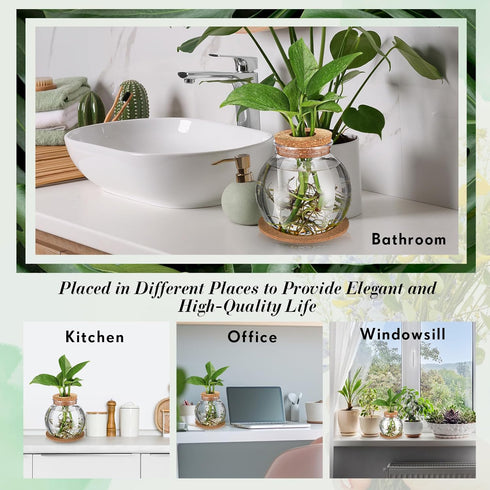 12 Packs Baderke Propagation Vases for Plants Plastic Plant Propagation Station with Hole Lid and Cork Coasters Plant