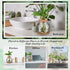 12 Packs Baderke Propagation Vases for Plants Plastic Plant Propagation Station with Hole Lid and Cork Coasters Plant