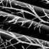 FMFUNCTEX 100% Blackout Curtains for Bedroom, 54 Inch Length Black Branch Panels for Living Room, Thermal Insulated 2