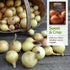 Bulbs (3 Packs) Walla Walla Sweet Onion Seeds for Planting Long Day Yellow Sweet Onions with Mild Flavor, Large & High