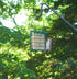 Wildlife Sciences Suet Feeder Cage - Suet Cake Combo for Wild Birds, Includes 1 Feeder and 11 oz Nuts & Berry Cake