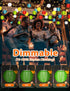 FIALAME in,13.12ft 100 20 Lanterns,Remote,8 Multicolor Paper Lantern String Lights Plug LED Twinkle Curtain String