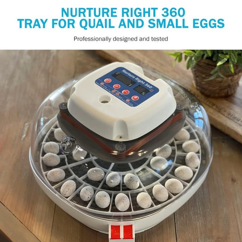 48 360 Incubator Warehouse Egg Trays for Small Quail/Bird Eggs - Durable Egg Tray for Nurture Right Egg Incubator