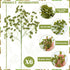 Thiccywoov 6 16 Inch Pcs Green Faux Berry Stems for Vase, Artificial Greenery Stems Branches for Home Decor, Farmhouse