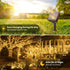 1 Pack 46 120 8 Solar String Lights Outdoor, FT LED Solar Tree Lights Waterproof with Lighting Modes, Outdoor Solar