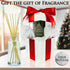 Urban Naturals Ocean Mist & Sea Salt Reed Diffuser Set, Decorative Air Freshener, Essential Oils & Botanicals