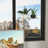 12 Inch Toiletries(2 Pack) Clear Acrylic Windows Plant Shelves, Window Plant Stand with Legs, No Need Drilling Indoor
