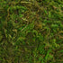 BYHER Handmade Natural Green Moss Decorative Ball, Set of 12 (2")