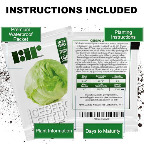 500 Iceberg Lettuce Seeds for planting - Heirloom Non-GMO USA Grown Premium Vegetable Seeds for Planting Home Garden