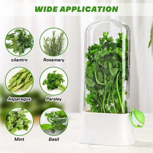 2 2-3 Baderke Pieces Herb Saver for Refrigerator Herb Keeper Herb Storage Containers Herb Saver Pod for Cilantro