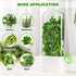 2 2-3 Baderke Pieces Herb Saver for Refrigerator Herb Keeper Herb Storage Containers Herb Saver Pod for Cilantro