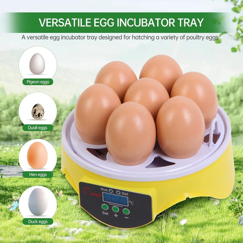 7-Egg 360 Mini Egg Incubator with View, Educational Hatching Kit for Kids, Classrooms & Families, Automatic Temperature