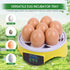 7-Egg 360 Mini Egg Incubator with View, Educational Hatching Kit for Kids, Classrooms & Families, Automatic Temperature