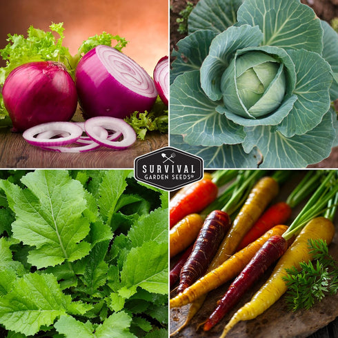 10 Pack Spring Vegetable Seed Collection for Planting | Cool Season Root Vegetables & Leafy Greens, Suitable for Fall