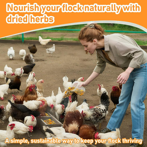 30oz Packed MAQIHAN Chicken Nesting Herbs - Dried Herb for Layer Feed,Coop and Run Insulation,Roosting Bars, Box