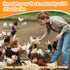 30oz Packed MAQIHAN Chicken Nesting Herbs - Dried Herb for Layer Feed,Coop and Run Insulation,Roosting Bars, Box