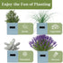 Set PERFNIQUE Indoor Herb Garden, Herb Garden Planter with Tray, Farmhouse Indoor Plant Pots, Windowsill Herb Garden