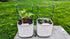 Countertop Vego garden Mini Planter Indoor Pots with Trellis Self-Watering Herb Planter for Climbing Vegetables Flowers
