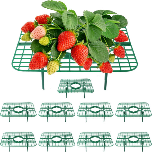 Strawberry Plant Supports, 10 Pack Square Frames Keep Strawberries Off Ground, Reusable