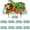 Strawberry Plant Supports, 10 Pack Square Frames Keep Strawberries Off Ground, Reusable
