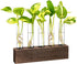 KAXYEW Desktop Glass Plant Propagation Station Test Tube Plant Terrarium in Wooden