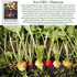 250+ Easter Egg Radish Seeds (Raphanus sativus) Non GMO & Heirloom Seeds by Islas Garden Seeds, Colorful Fast-Growing
