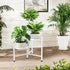 JOPBENG 3 10 Inch Tier Metal Plant Stand Indoor Outdoor, Corner Plant Shelf with Wide Tray,Flower Pot Display Holder