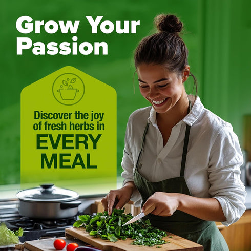 5 HOME GROWN Indoor Herb Garden Starter Kit Complete Herb Grow Kit with Basil, Cilantro, Mint, Parsley & Thyme