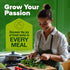 5 HOME GROWN Indoor Herb Garden Starter Kit Complete Herb Grow Kit with Basil, Cilantro, Mint, Parsley & Thyme