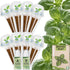 Herblink Basil Seed Pods Kit Hydroponic - Refill Herb Pod for All Indoor