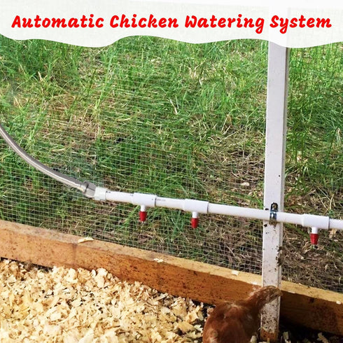 1/2" DIY Chicken Watering System - PVC Tee Fittings and Chicken Waterer Nipples with PVC Pipe, Stainless Steel Hose