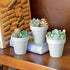 Youngever 24 Pack Mini Plastic Planters - 2 Inch Indoor Flower Pots, Grey Gardening Pot with Drainage